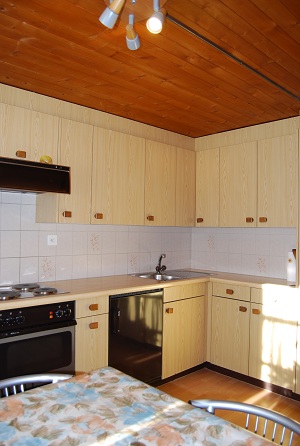 chalet_laerchenheim_kitchen_2